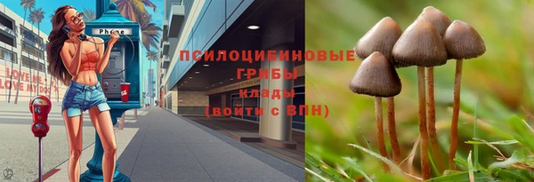 СК Алексин