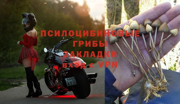 СК Алексин