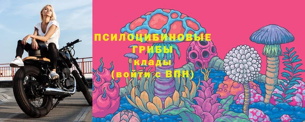СК Алексин