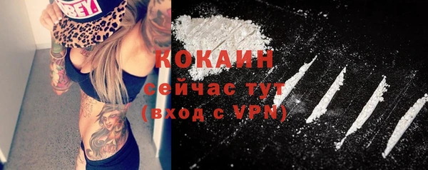 СК Алексин