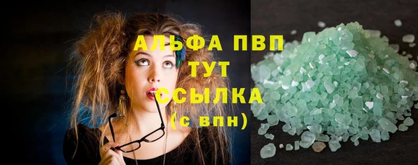 СК Алексин