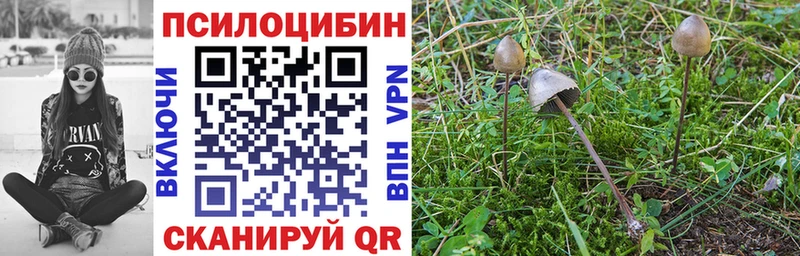 Псилоцибиновые грибы ЛСД  Муром 